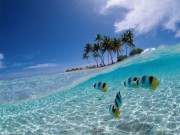 Karibik unter und über Wasser