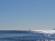Segel Yacht Überführung