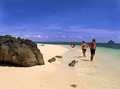 karibischer Strand