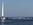 viele, viele Delfine, HELMSail yachting