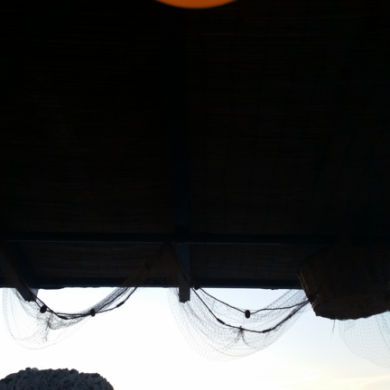 Abendstimmung in der Taverne, HELMSail yachting