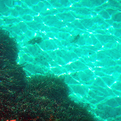 intensives Türkis an der Costa Smeralda, HELMSail yachting